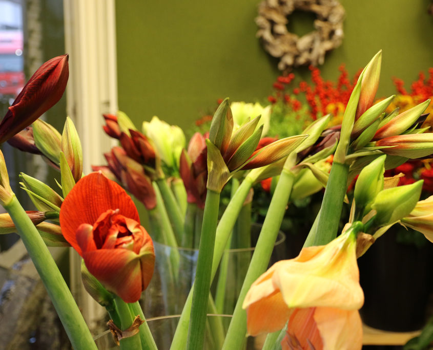 Bruidsbloemwerk van Mooie Bloemen