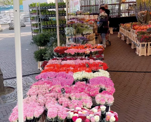 emmen02